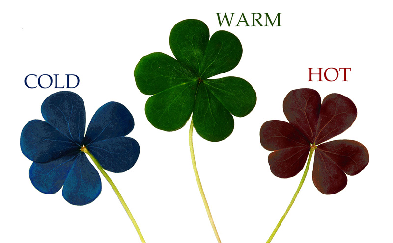 cold warm hot three leaf clover ppc callsource